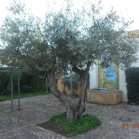 Hotel Palocla 4*